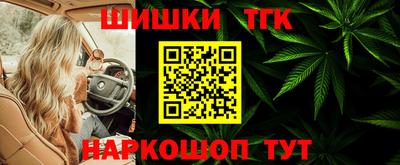 индика Боровичи