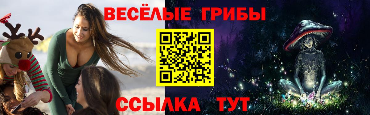 Галлюциногенные грибы MAGIC MUSHROOMS  Вход с VPN  наркота  Советская Гавань 